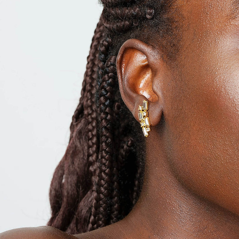 Radiant Elegance Earrings